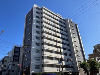 田園調布スカイハイツの外観