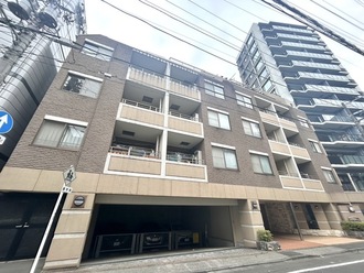 セーナ中野