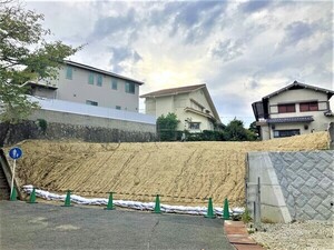A号地