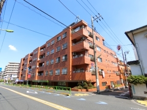 シャンボール弦巻