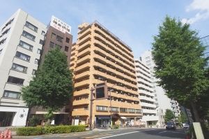 ライオンズプラザお茶の水の外観
