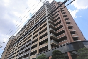 ライオンズガーデン城東の外観