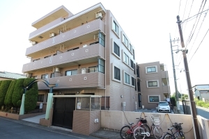 マイキャッスル中野島弐番館の外観