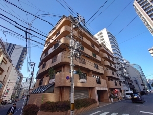 ライオンズマンション銀山町の外観
