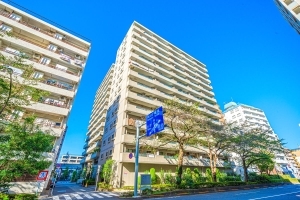 藤和ハイタウン練馬の外観