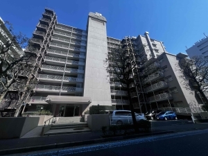 小島スカイハイツ