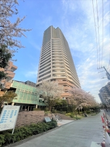 ライオンズタワー大島