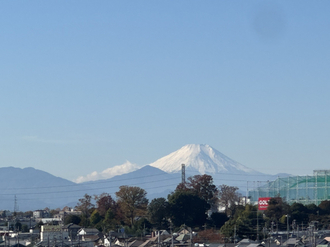 クイーンズフィールドひばりが丘ハイム