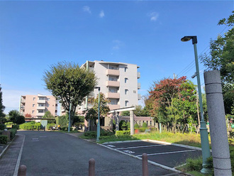 青葉の森公園通り