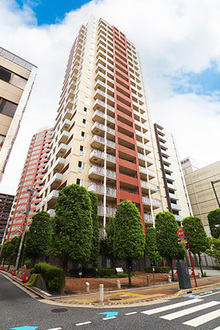 ＴＨＥ　ＯＭＩＹＡ　ＴＯＷＥＲＳ