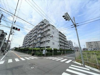 エバーグリーン川口