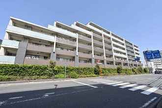 アデニウム川崎