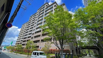 モンセーヌ住吉川公園1番館の外観