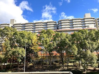 エバーグリーンポートアイランド10号棟