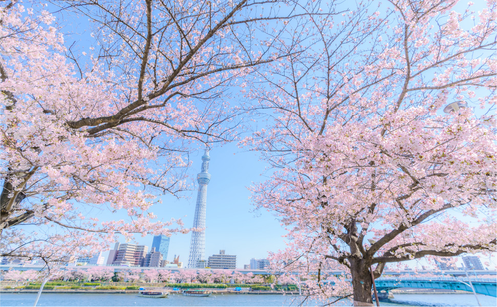 隅田川