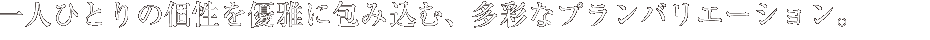 lЂƂ̌DɕݍށAʂȃvoG[VB