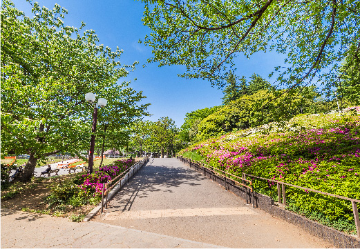 世田谷公園(2017年5月撮影)