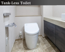 Tank-Less Toilet
