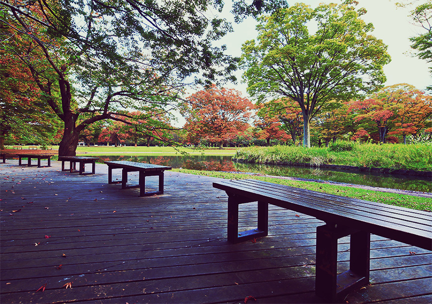 代々木公園