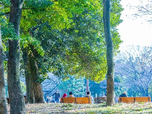 清澄公園（約330m/徒歩5分）