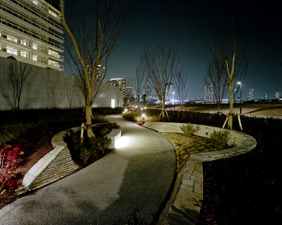 木漏れ日の小道夜景