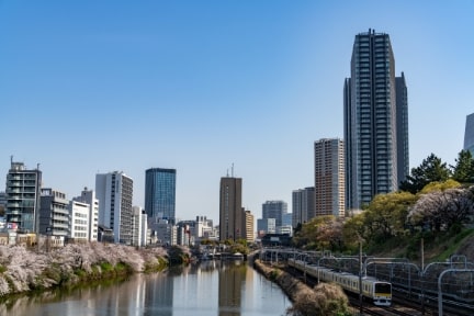 モノの整理×住み替えで都心のコンパクトライフを満喫！自分たちの“最適”を叶えるマンション選びとは？