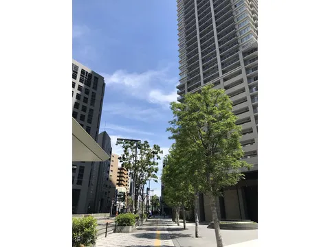 ブランズタワー梅田 North-0-11