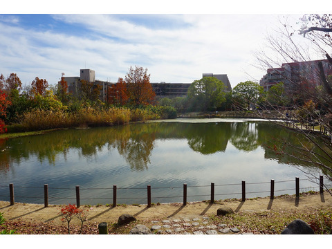 ライオンズマンション苦楽園-0-7s