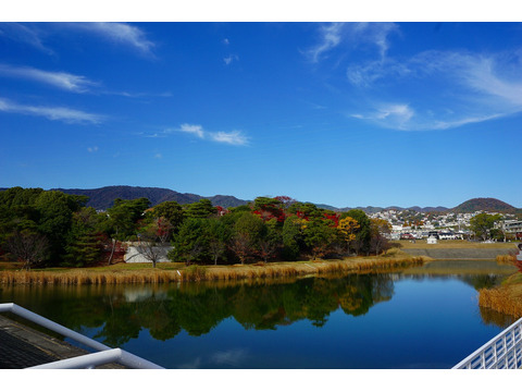 レジデンスコート夙川　城山-0-6s