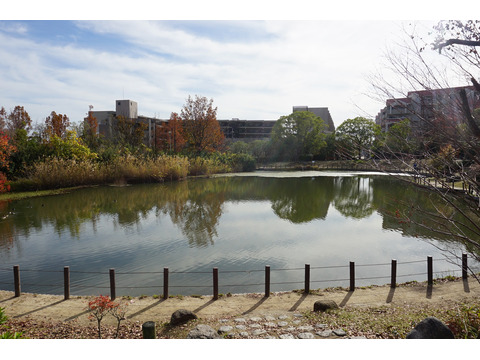 ヒルズ夙川　菊谷町-0-13s