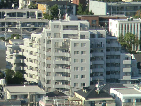 グランドメゾン住吉本町