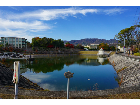 ダイナシティ夙川公園-0-9s