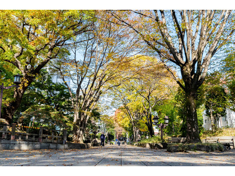 大宮氷川参道パークハウス-0-8s