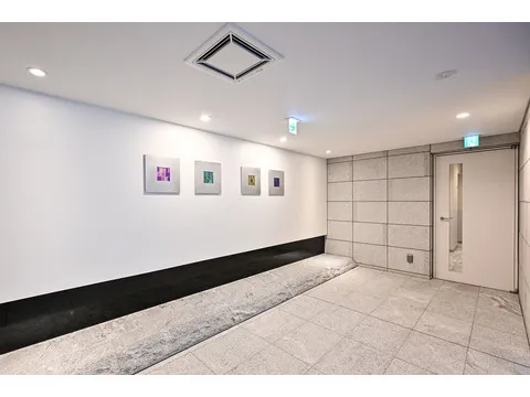 ザ・パークハウス麹町テラス-0-4