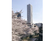 ザ・パークハウス西新宿タワー60-0-1