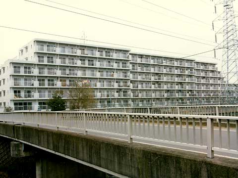 藤和綱島ハイタウン