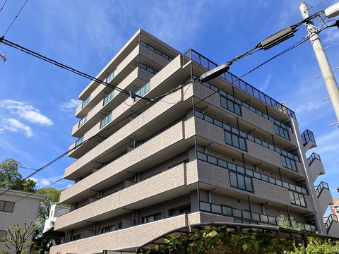 藤和シティホームズ夙川さくら道