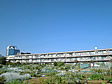 藤和ライブタウン津田沼-0-0